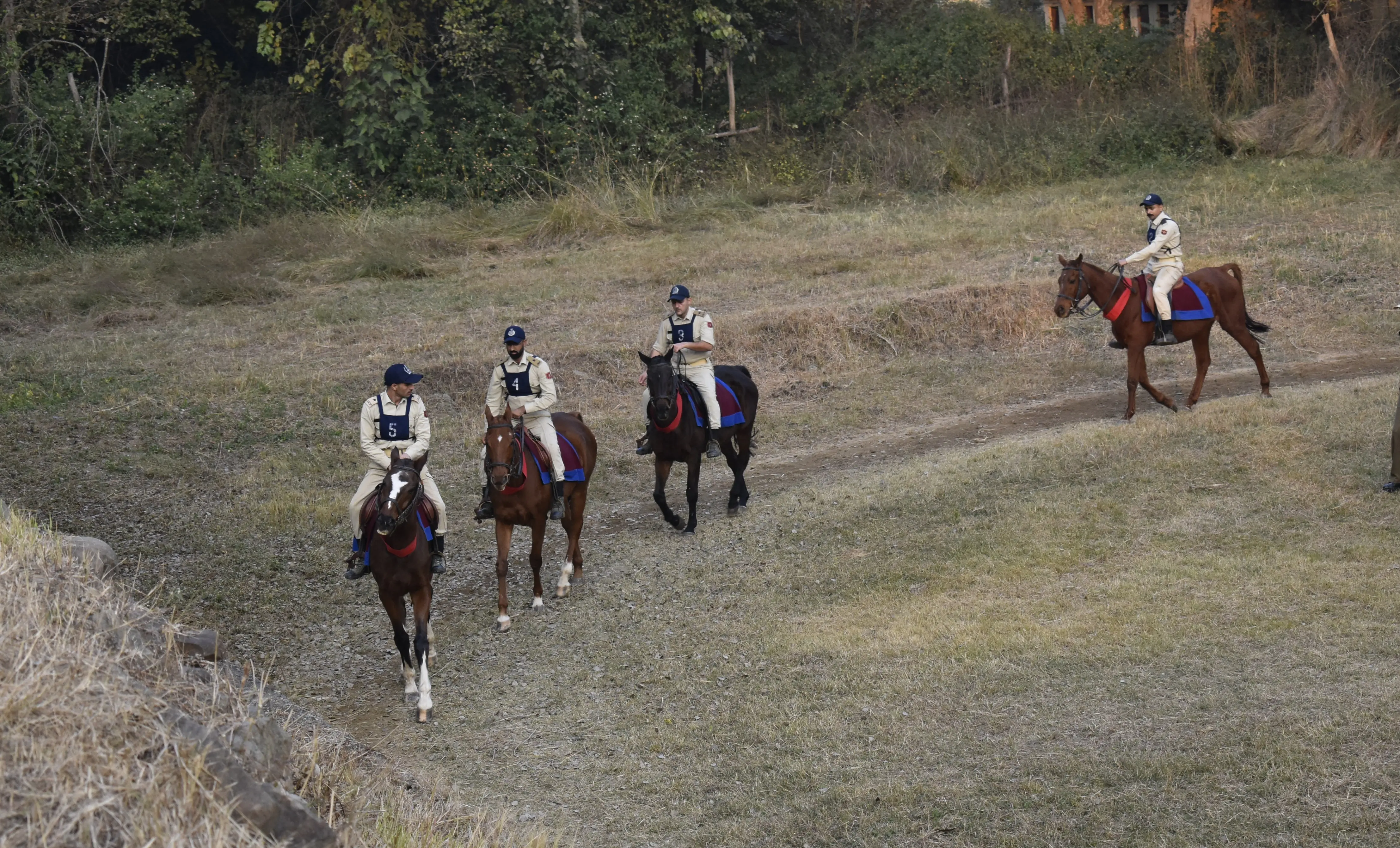Horse Riding